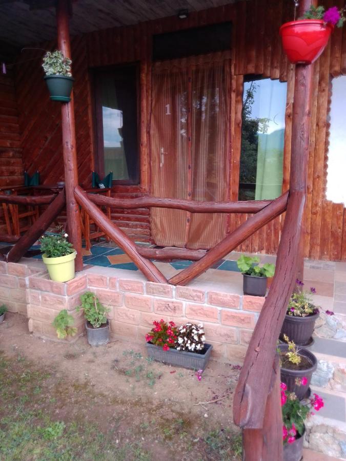 Hacijenda Gane Appartement Sokobanja Buitenkant foto
