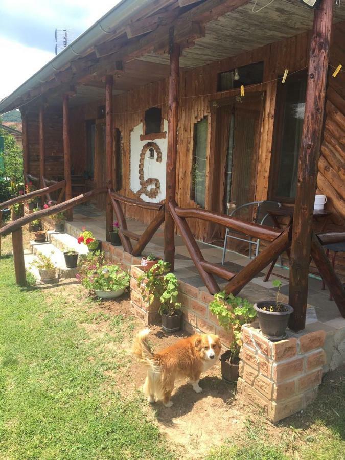 Hacijenda Gane Appartement Sokobanja Buitenkant foto